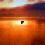 Beach Sunset 1.0.1