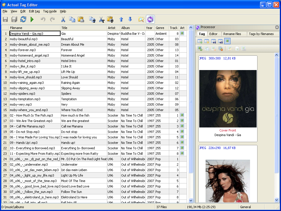 Actual Tag Editor 1.3