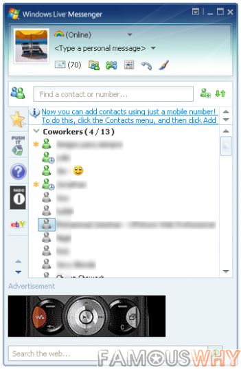 http://download.famouswhy.com/screenshots/windows_live_messenger__msn_.png