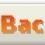 Background Check 3