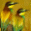 Birds II 1.0