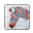 Chalk Stripped Color Zebra Theme