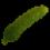 Cornichon