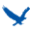 EagleGet 1.0.8.0 Beta