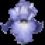 Flowers 1.0