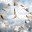Gravity Free Clock 3.8
