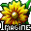 Imagine Portable