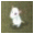 Mouse Run