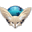 Mozilla Fennec 1.0 Beta 4