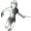 Nikto