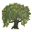 PhpGedView 4.2.4