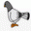Pidgeon