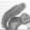 SquirrelMail 1.4.21