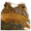 Text Converter 