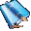 The Daily Journal