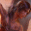 Tomb Raider TressFX Demo Trailer