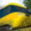 Trainz Simulator 2012 Servicepack 1 Hotfix 1